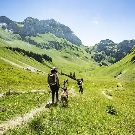 Ecrin Ec6 Mountain & Nature 4 Pers Apartman Châtel